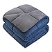 LINENSPA Reversible Down Alternative Comforter and Duvet Insert - All-Season Comforter with Box Stitch and 8 Duvet Loops - Bedding for Kids, Teens, and Adults – Navy/Graphite - Twin XL
