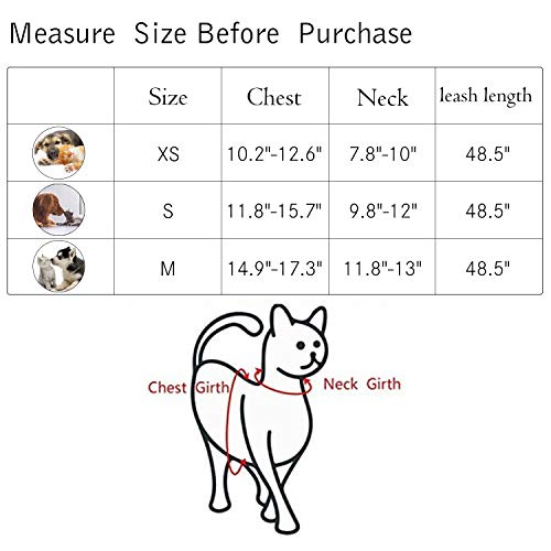 Kamots Beauty Escape Proof Cat Harness and Leash for Walking Adjustable Soft Mesh Pet Vest with Lead for Kitten -(Black,XS)