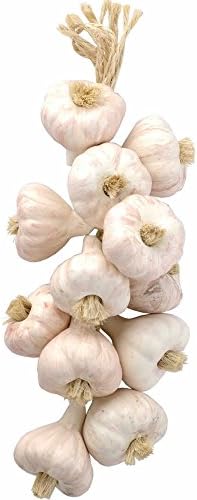 Handmade Southwest Style Ceramic Ristras - Garlic String