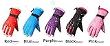 Waterfly Fashion Women's Femal Warm Waterproof Winter Outdoor Glove Cycling Gloves Biking Gloves Snowmobile Snowboard Ski Gloves Athletic Gloves Mittens