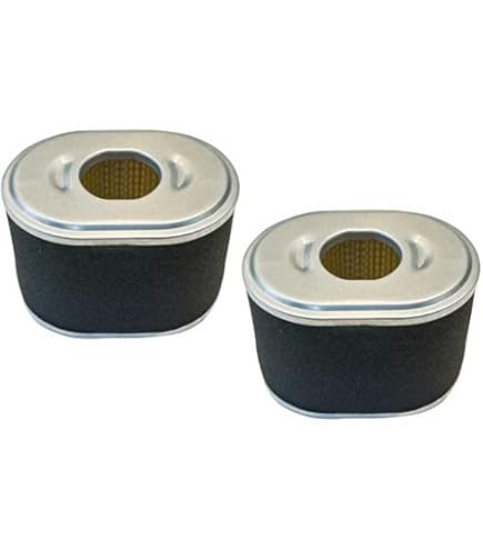 Amazon.com : Genuine 17210-Z4M-821 Air Filter Element AFZE18 for