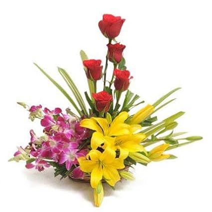 Floralbay Basket Arrangement of 11 Red Roses, Yellow Asiatic Lilies and Purple Orchids Fresh
