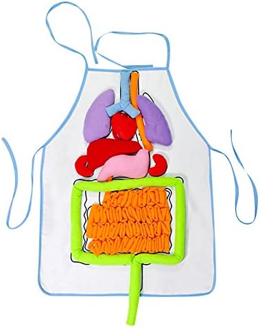 Kindergarten Viscera Teaching Utensil Children Educational Intellectual Development 3D Organ Apron Early Teaching Props Early Education Aids For Kids