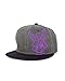 Spyro the Dragon Official Embroidery Snapback