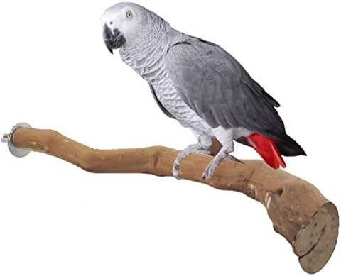 Purple Star Natural Wood X Large Grapevine Perch for Birds，X Large,Thicker and Longer