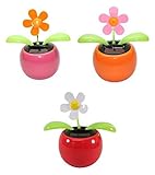 Set of 3 ~ 1 Pink Daisy+ 1 Orange Daisy+ 1 White Daisy in Assorted Colors Pots Solar Toy US Seller Great Birthday Easter Gift Car Dashboard Office Desk Home Decor