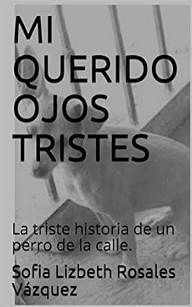 Amazon Com Mi Querido Ojos Tristes La Triste Historia De Un Perro De La Calle Spanish Edition Ebook Rosales Vazquez Sofia Lizbeth Rosales Vazquez Ismael Kindle Store