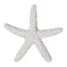 Outus 15 Pieces Beige Pencil Finger Starfish for Wedding Decor, Home Decor and Craft Project, 2.3 Inches