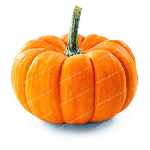 Pinkdose Bonsai de Calabaza Vegetales orgánicos Nutrientes ...