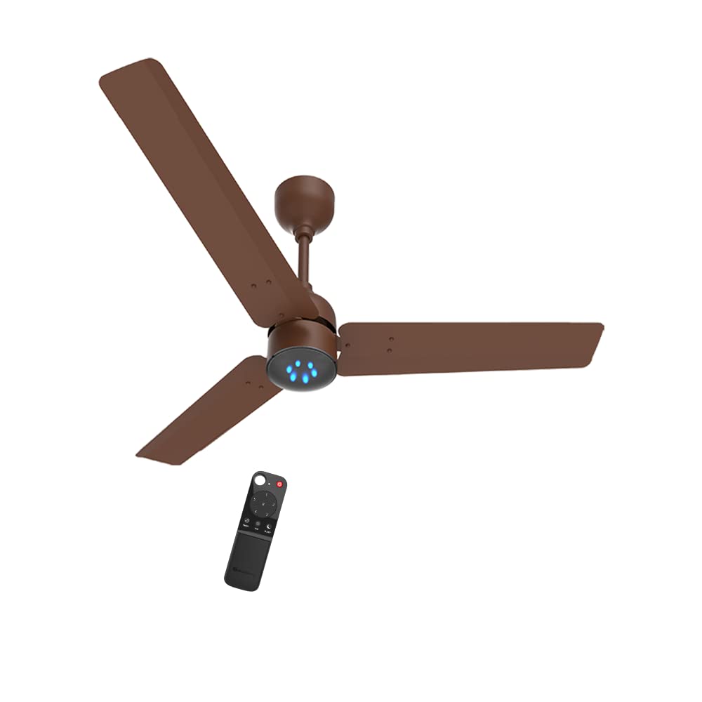 Ceiling Fan