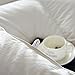 Globon Fusion White Goose Duvet Insert Queen Heavywarmth Winter, 50OZ, 650 Fill Power, 100% Cotton Shell, 300 Thread Count, Hypoallergenic with Corner Tabs, White