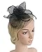 Urban CoCo Women's Vintage Flower Feather Mesh Net Fascinator Hair Clip Hat for Party Wedding (Black)