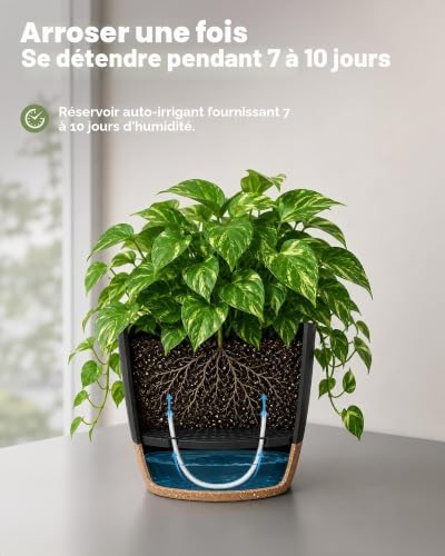 Pot de Plantes d'Intérieur avec Drainage 6 Pcs Pots en Plastique Auto-irrigants 12.7cm/14cm/15.2cm/16.5cm/17.8cm/20.3cm pour Plantes d'Intérieur, Fleurs, Cactus