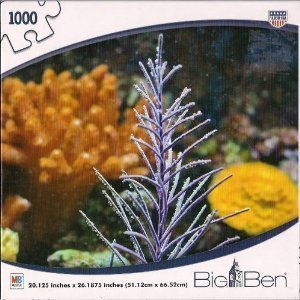 Colorful Coral 1000 Piece Puzzle