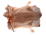 X-Large Natural Top Grade Rabbit Fur Pelt Skin Taxidermy 18