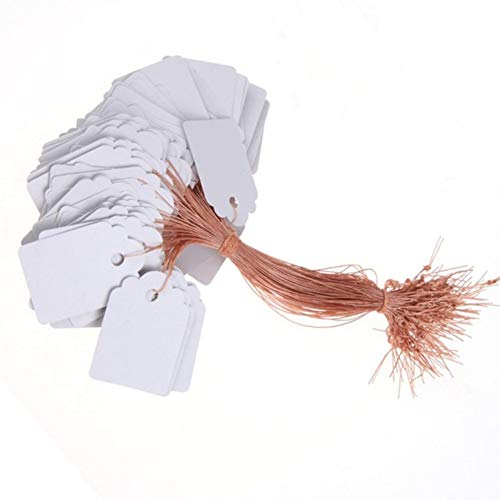 BFHCVDF 100PCS Etiquetas de plástico para Colgar a Prueba de Agua ...