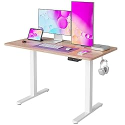 FEZIBO Electric Standing Desk, 48 x 24 Inches