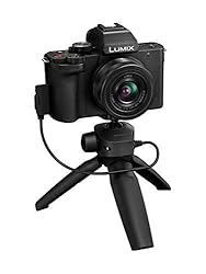 Panasonic LUMIX G100 Mirrorless