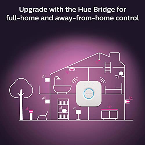 Philips Hue Starter Kit w/Remote with Echo Dot (4th Gen) Glacier