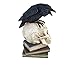 Alchemy Poe's Raven