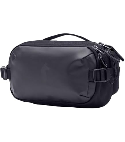 Amazon.com | Patagonia Ultralight Black Hole Mini Hip Pack | Waist