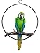 Ebros Patio Home Garden Hanging Scarlet Macaw Parrot Perching on Branch in Metal Round Ring Figurine Sculpture Nature Lovers Tropical Bird Collectors Decor 13.5