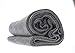 SE Grey Warm 3-lb. Blanket (60