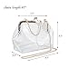 Jyouhin Clear Purse Crossbody Messenger Shoulder Bag for Women Chain Strap, NFL Stadium Approved (Clear)