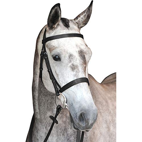 Equitem Leather English Horse Size Bridle with Purple Metallic Patent Leather Padding with 