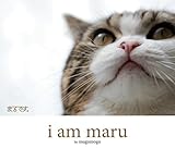 Image de I Am Maru