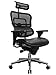 Eurotech Seating Ergohuman High Leather Seat/Mesh Back Swivel Chair, Black