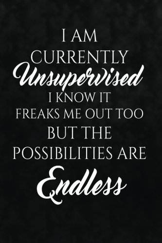 I Am Currently Unsupervised. I Know, It Freaks Me Out Too. But The Possibilities: Funny Sarcastic Writing Journal Lined, Diary, Notebook for Men & Women