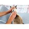 FRONTLINE Spot On Flea & Tick Treatment for Cats - 6 Pipettes