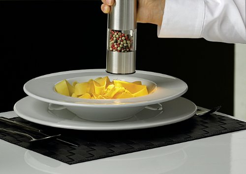 Emsa 504669 Spice Grinder"Accenta" of Stainless Steel, 7.9", Silver