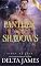 Livro Pantera nas sombras (Marés do destino Livro 2)
