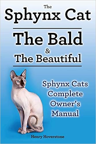 sphynx care
