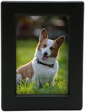 near and dear pet memorials