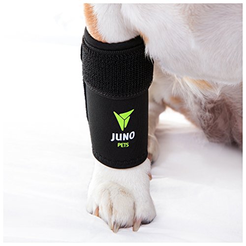 Top 10 Best Horse Leg Wraps For Arthritis Best of 2018 Reviews No