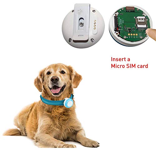tkstar gps dog tracker