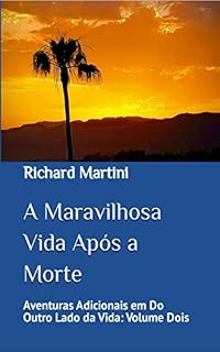 Livro A Maravilhosa Vida Após a Morte: Aventuras Adicionais em Do Outro Lado da Vida: Volume Dois