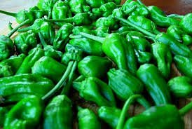 10 Padron Organic Pepper Seeds 10 Padron Organic Pepper Seeds