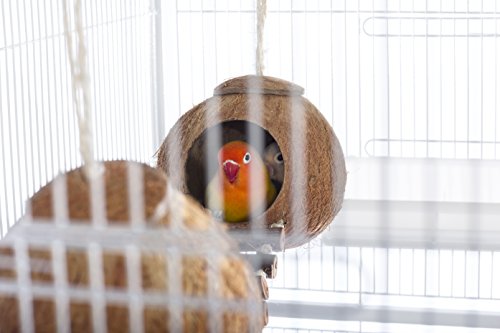 Prevue Pet Products Naturals Double Coconut Walk for Small Animals & Birds 62818