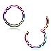 Hinged Seamless WildKlass Septum Clicker Ring 316L Surgical Steel (Sold Individually)