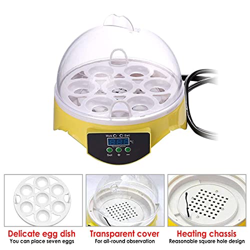 Nienyu Mini-Ei-Inkubator, 7-Loch-Micro-Inkubator mit Temperaturfeuchtigkeitssteuerung, tragbarer Zuhause-Inkubator für… – Bild 7