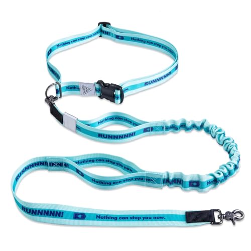Hands Free Dog Leash Dual Handles Bungee Belt