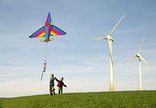 Zhuoyue Large Airplane Kite for Kids and Adults, Easy to Fly 3D Nylon Kites for Boys Girls, Single Line Beach Kite with Long Tail and Flying Line - Thumbnail 3