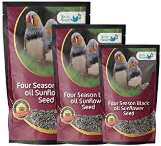 Four Season Black Oil Sunflower Seeds for All Birds (1000g)