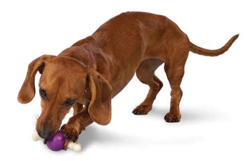 PetSafe Busy Buddy Bouncy Bone Dog Toy, Small