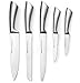 May Fifteenth Stainless Steel 6 Pieces Kitchen Knives Set (5 Knives plus and Acrylic block) MF-1710K