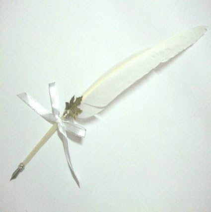 Ayangyang Vintage Deluxe Natural Swan Fountain Pen Nib Calligraphy Writing Set Feather Quill Pen with Empty Ink Pot (White) by AYANGYANG